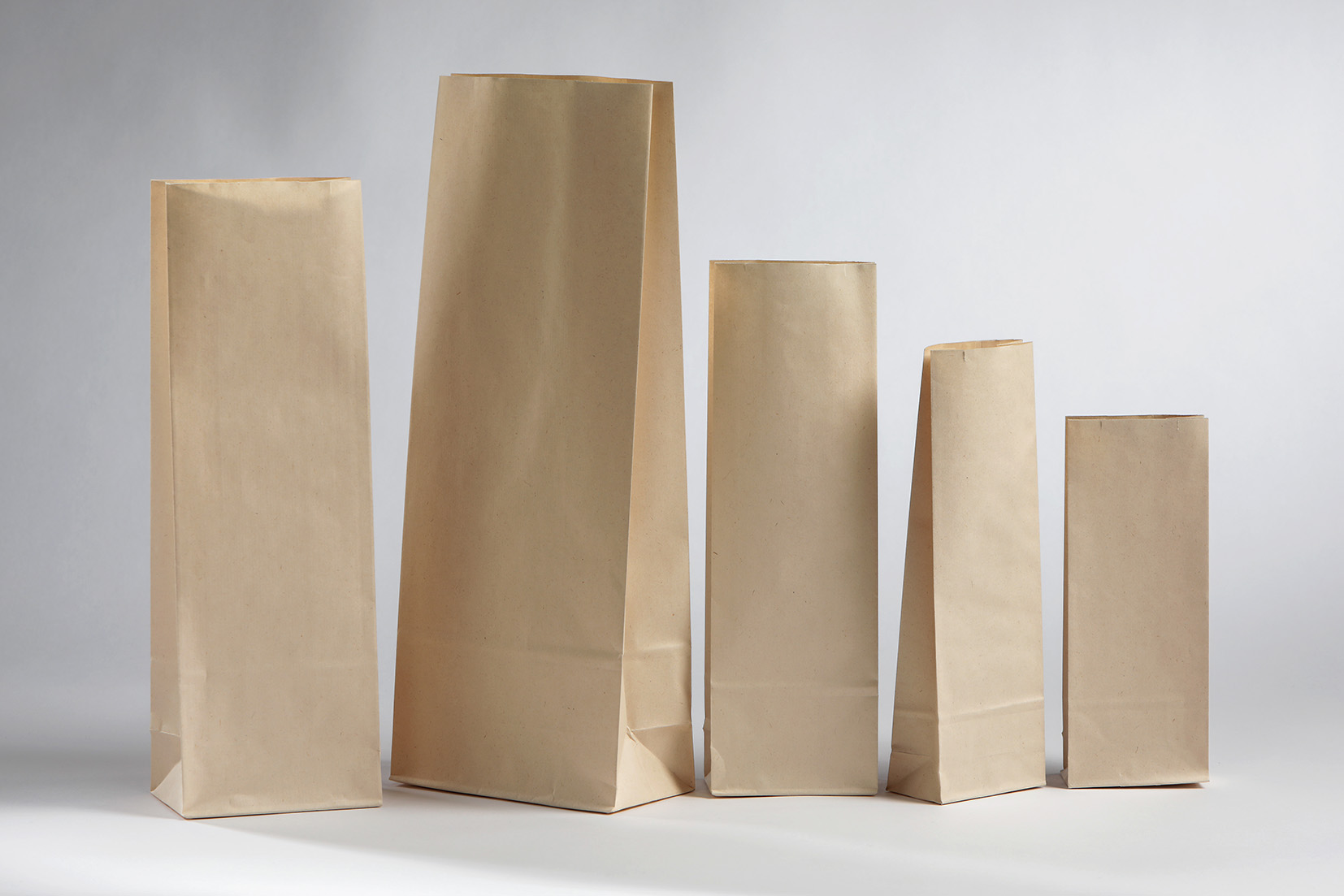 Ecological Paper Bags